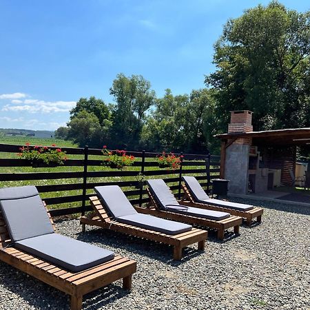 Casa Cu Flori Maramures บายามาเร ภายนอก รูปภาพ