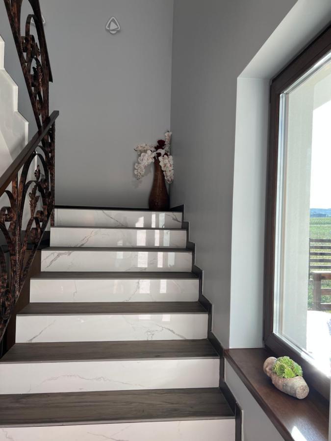 Casa Cu Flori Maramures บายามาเร ภายนอก รูปภาพ
