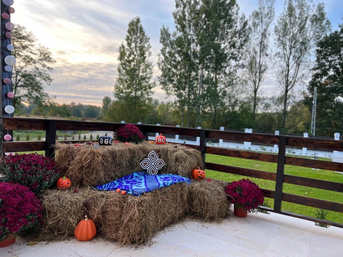 Casa Cu Flori Maramures บายามาเร ภายนอก รูปภาพ