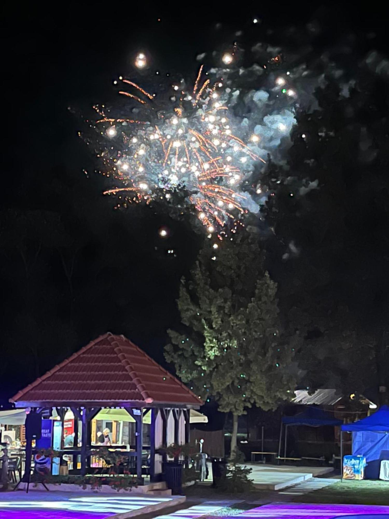 Casa Cu Flori Maramures บายามาเร ภายนอก รูปภาพ